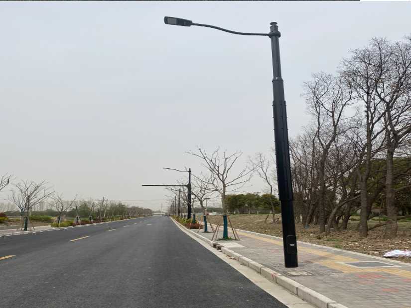 赣县区上海综合杆 太阳能路灯工程